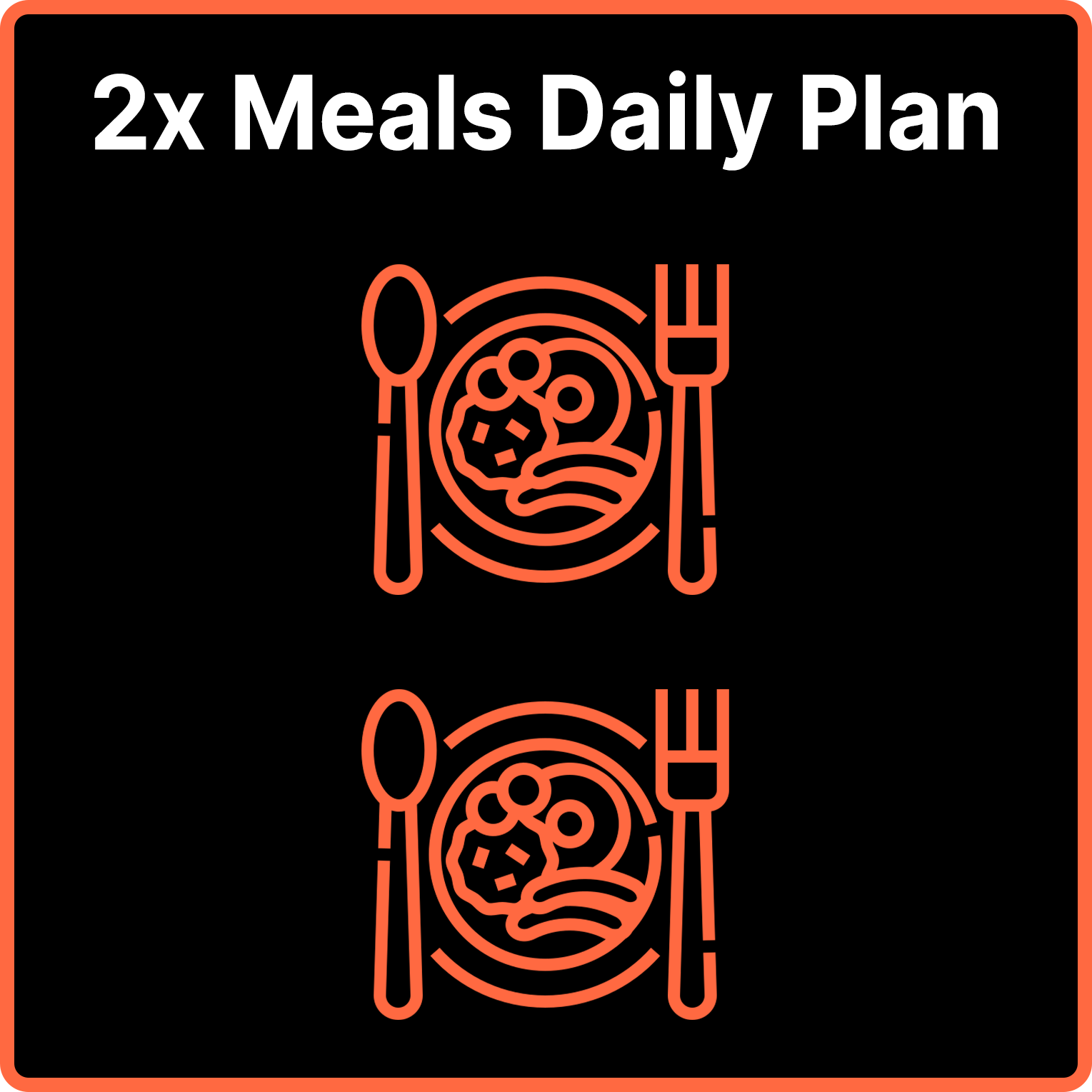 2x Meals Daily Plan