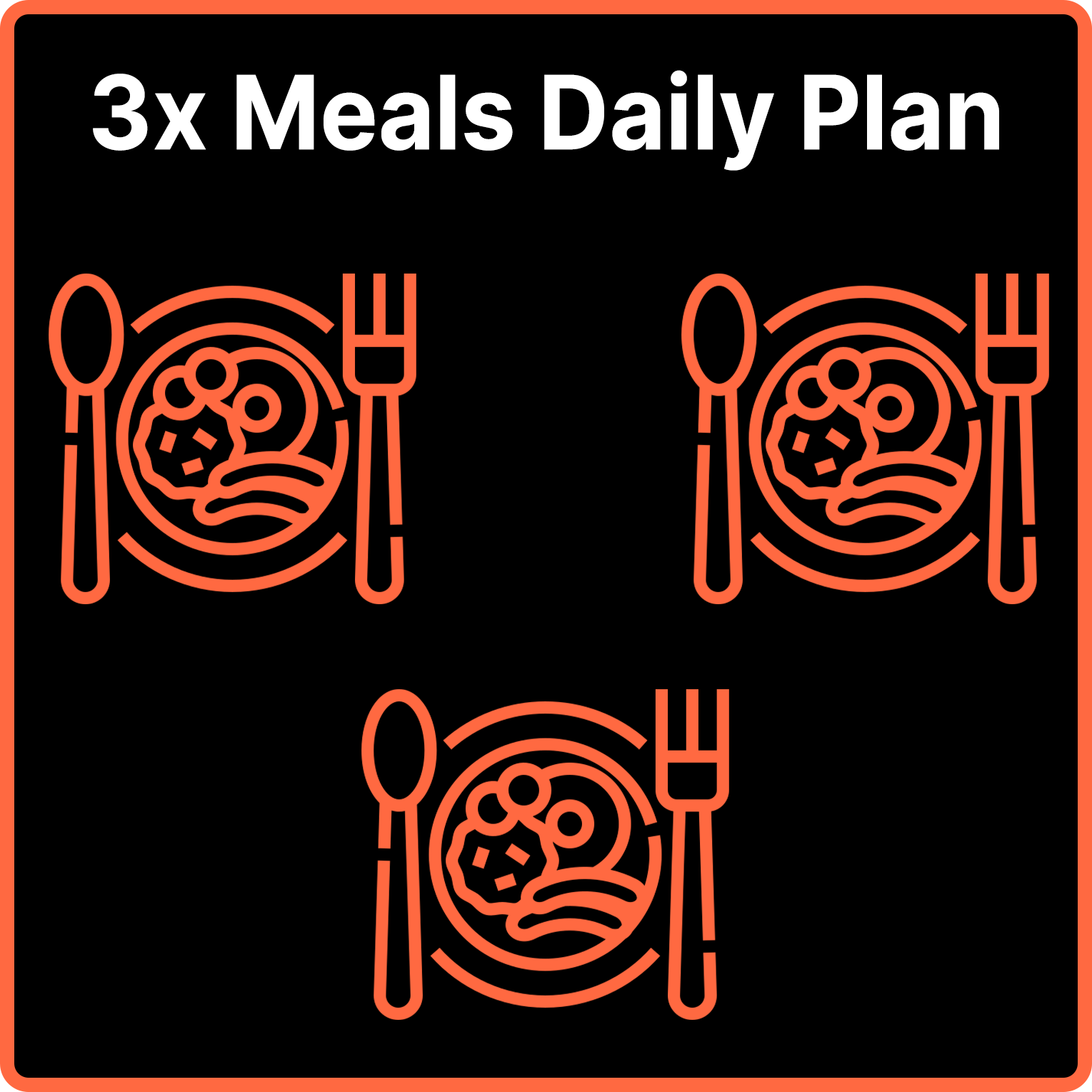 3x Meals Daily Plan
